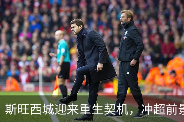 斯旺西城迎来重生契机，冲超前景令人期待